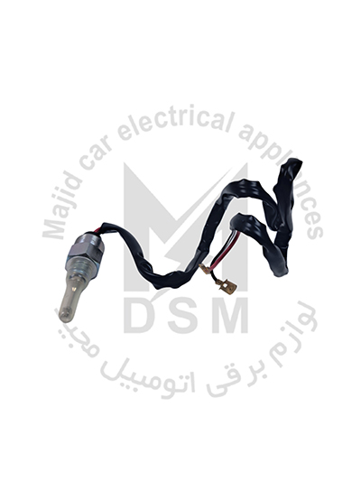 ژيگلور برقي پرايد دور تند