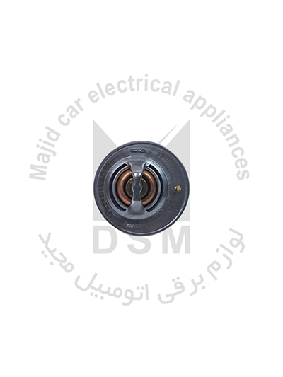 ترموستات ريو 88درجه